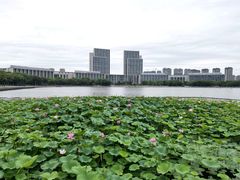 -尚贤河湿地