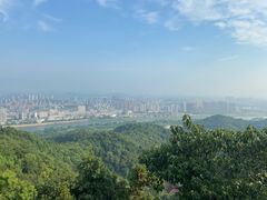 -云碧峰国家森林公园