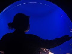 -江和美海洋公园