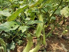 -任达丞国农庄(任达山庄店)