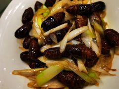 -添福来墨鱼饺子 · 海鲜东北菜(大连星海·黄浦路店)