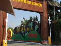 -北海金海湾红树林生态旅游区