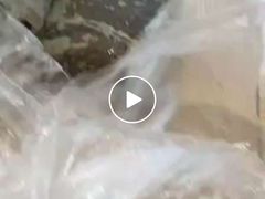 -包道广式点心专门店(振业店)