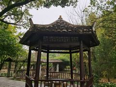 -八大山人梅湖景区