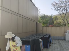 -羊山湖公园