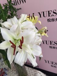 -Yue Show馨选·半永久纹眉纹眼线
