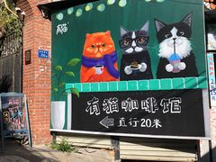 -有猫主题·治愈系猫咖(曾厝垵店)