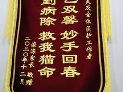 -中农国际动物医院24小时·猫科·骨科·急重症中心
