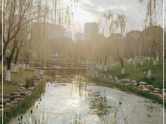 -桐乡植物园