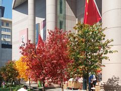 -西北轻工批发市场