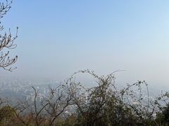 -杭州半山国家森林公园