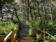 -北京西山国家森林公园