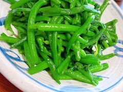 -阿巧茶庄