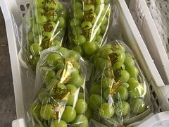 -马陆小张葡萄园农家乐