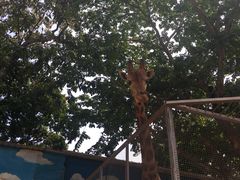 -广东茂名森林公园