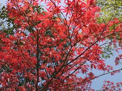 -湖州太湖旅游度假区-月亮广场