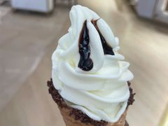 香草味巧克力冰淇淋-GODIVA(景枫中心店)