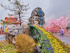 -云台山风景名胜区