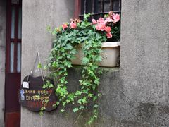-前童古镇