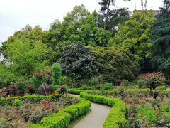 -南山植物园