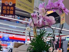 -福田卓悦INTOWN购物中心
