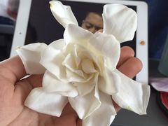 -百年尹氏汤包(湖南路狮子桥店)