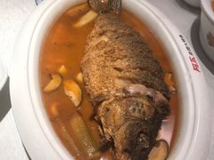 红烧黄河鲤鱼-阿五黄河大鲤鱼(英协路店)