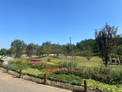 -马家湾湿地公园