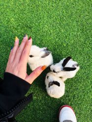 -萌宠亲子动物乐园(槐房万达店)