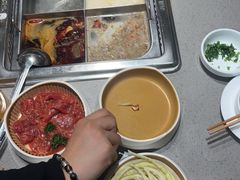 -海底捞火锅(赛格国际购物中心店)