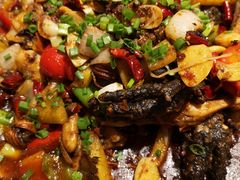 -老号尤兔头(幸福店)