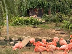 -无锡动物园·太湖欢乐园