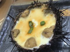 -海胆小馆(东北水饺·春柳店)