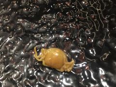 黄蚬子里藏着一只小螃蟹-渔娘渔家丹东海鲜(东直门店)