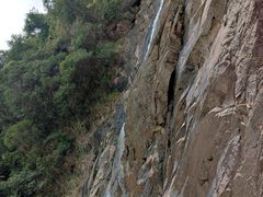 -广州白江湖森林公园