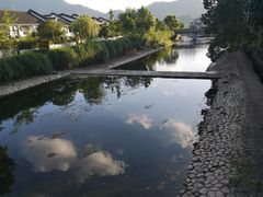 -知鱼轩