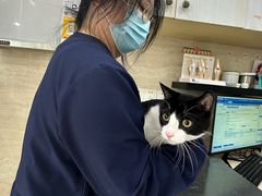 -瑞派天使宠物医院·神经外科·骨科·核磁CT(洛川中路店)