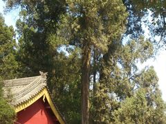 -武侯墓风景区