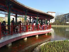 -西海子公园