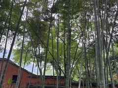 -天台山景区
