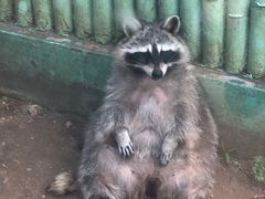 -秦皇岛野生动物园