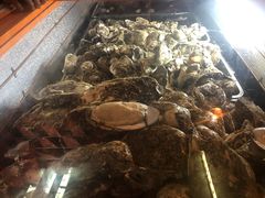 -土蚝·高压锅生蚝(百姓美食街店)