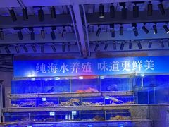 -青蓬蒸汽海鲜·深圳老字号·团建聚会(壹方城店)