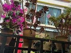 -尼玛藏家风味园(阿山食城店)