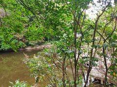 -水濂山森林公园