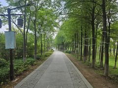 -苏州太湖国家湿地公园