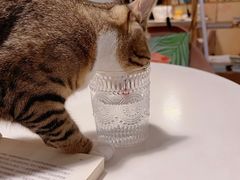 -有何Book(六堰体育馆店)