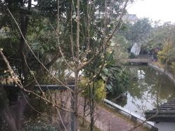 -莲生母婴月子中心(清水河公园店)