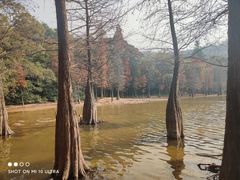 -广州市白云山风景名胜区