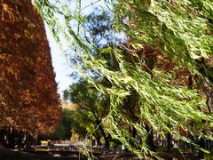 -同济大学本部学苑饮食广场
